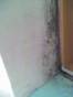 20070628101134-podrido.jpg