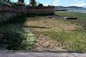 20070807171723-fianteira.jpg